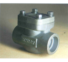 NEWAY Piston Lift Check Valve